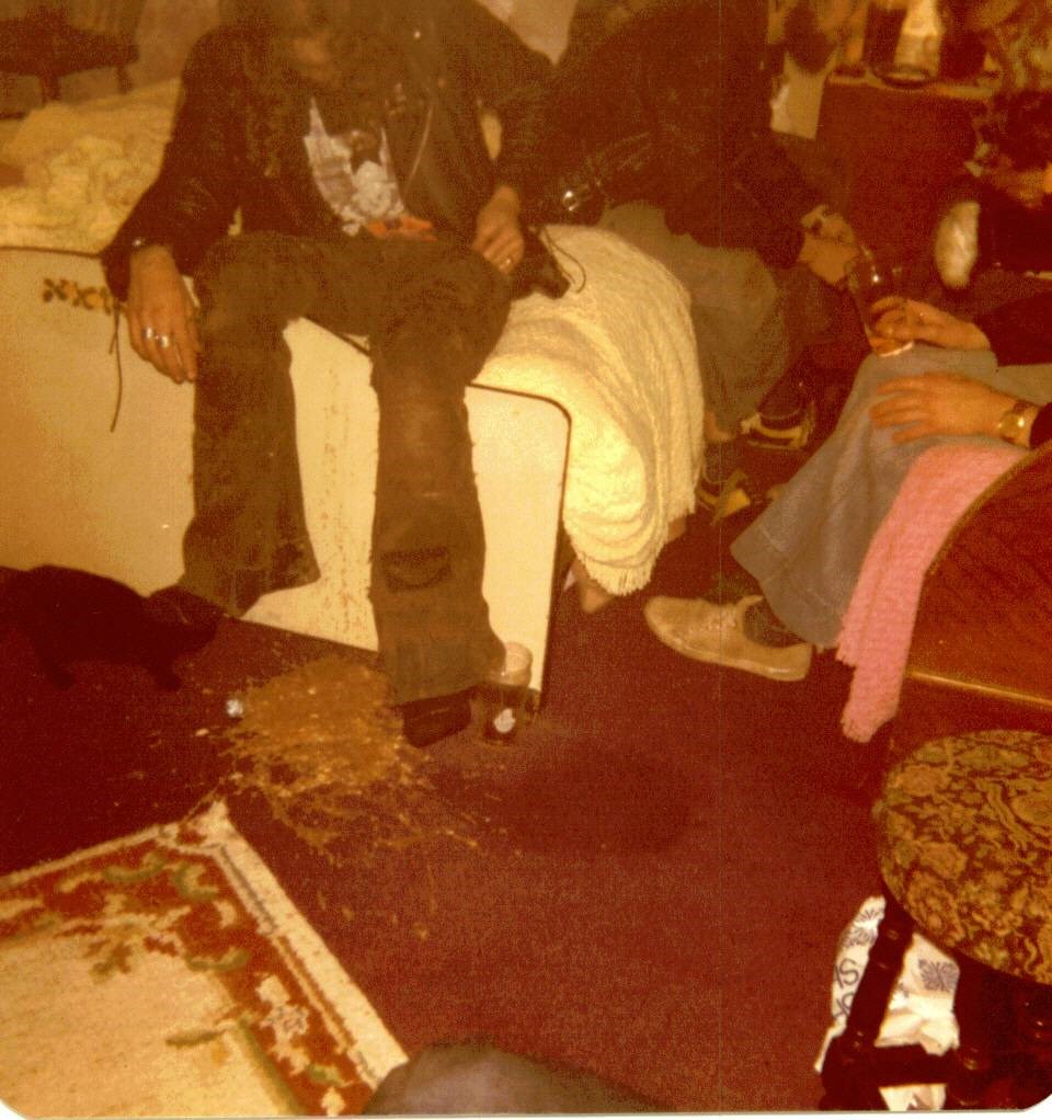 Polly had to much, the cat ate the vomit